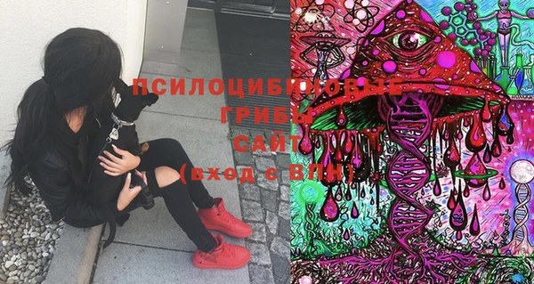 не бодяженный Богданович