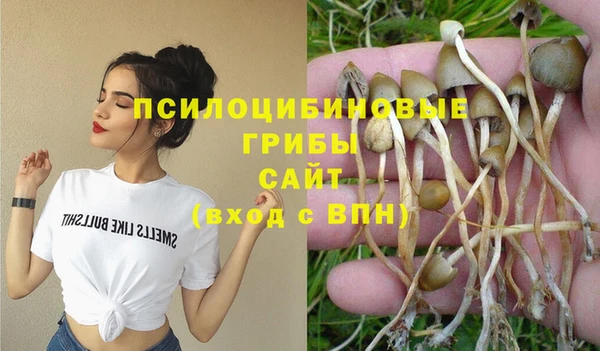 шишки Арсеньев