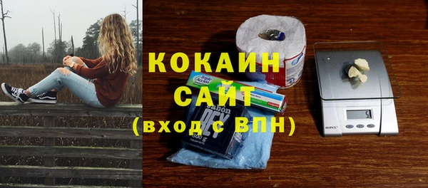 шишки Арсеньев
