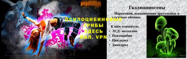 стаф Баксан