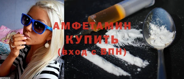 шишки Арсеньев