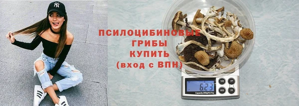 не бодяженный Богданович