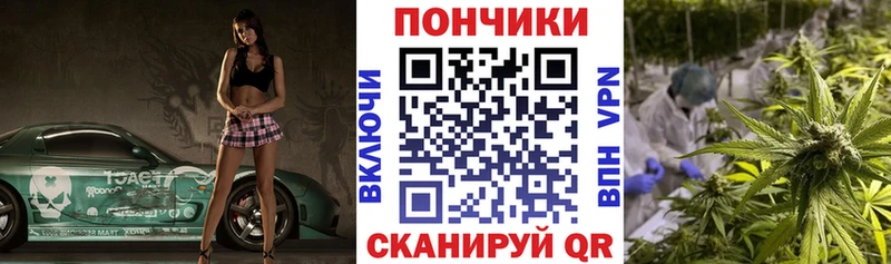 наркошоп  Короча  Каннабис семена 